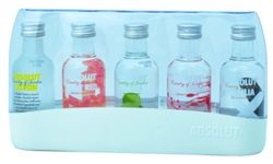 Absolut Mini Set 40% 5x0,05l